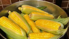 Jak i jak długo gotować kukurydzę – oraz co warto dodać do wody, aby była miękka